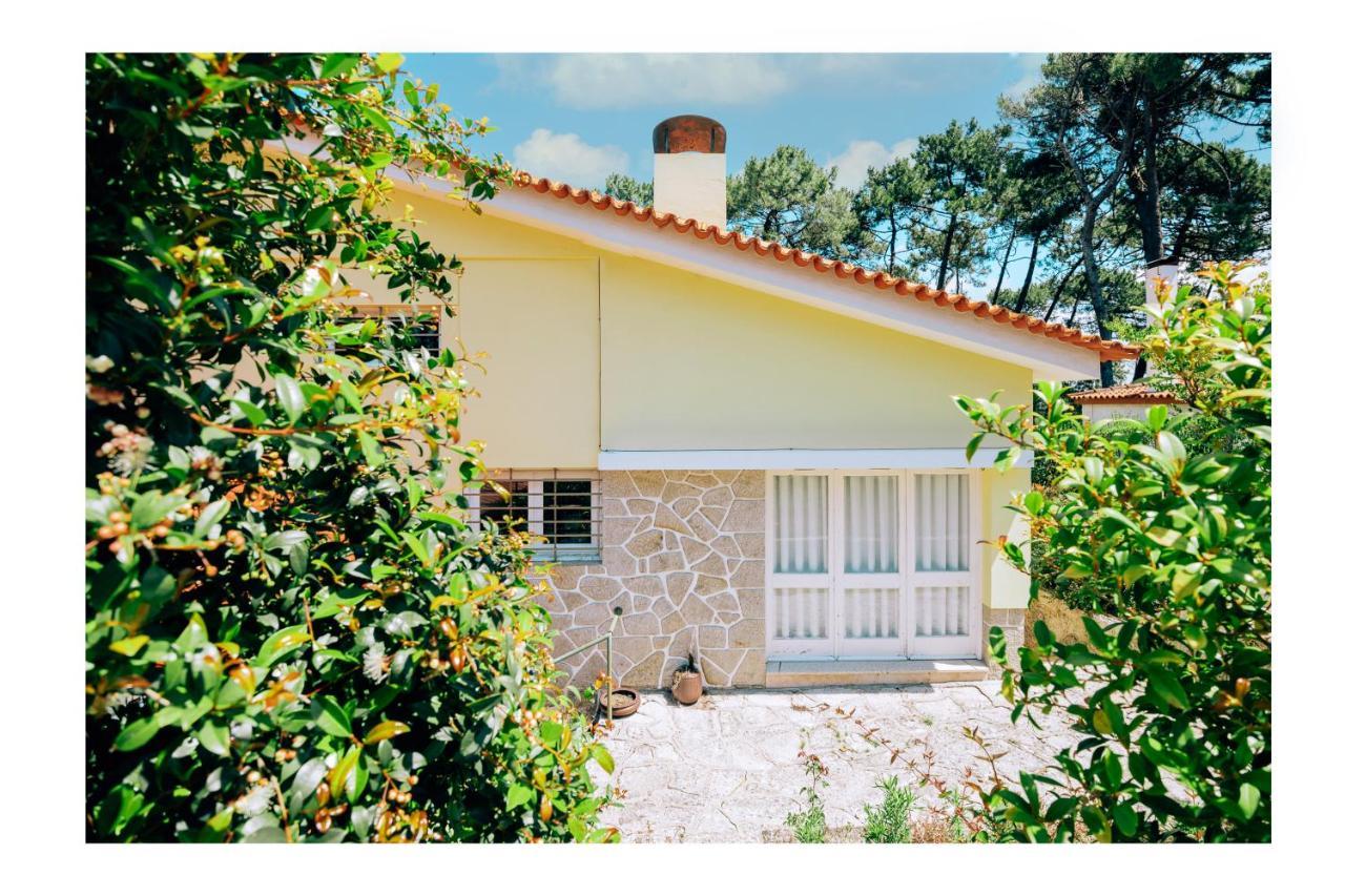 Regina Surf Houses - Cabedelo Beach Viana do Castelo Bagian luar foto